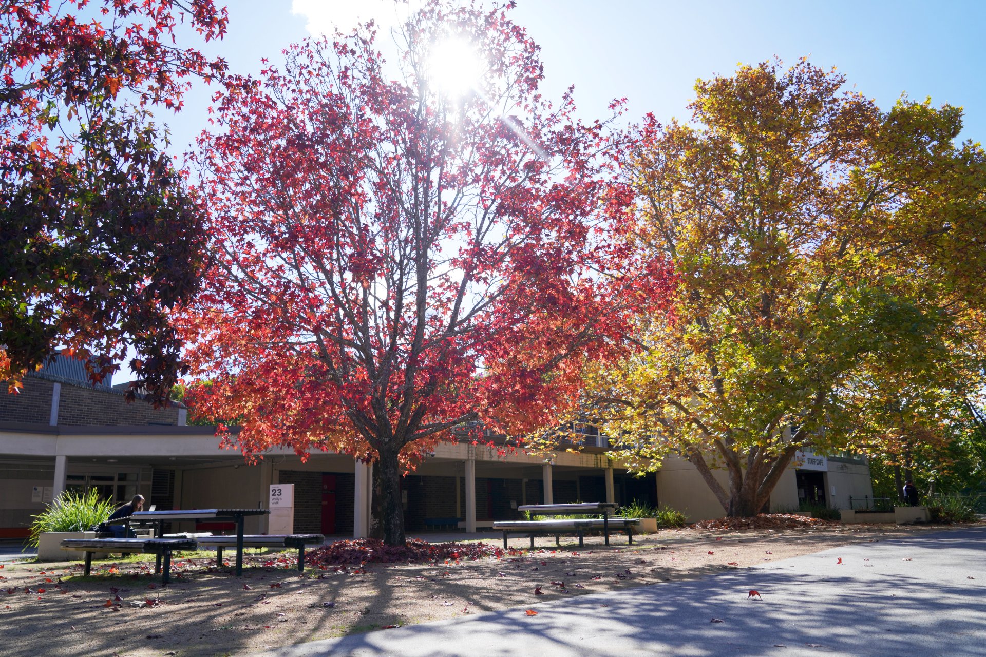 Autumn at Macquarie University 2023